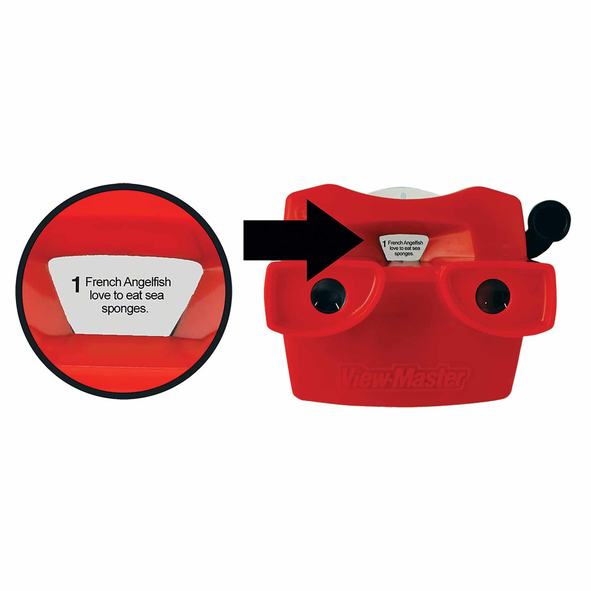 VIEWMASTER BOXED SET - US 6905