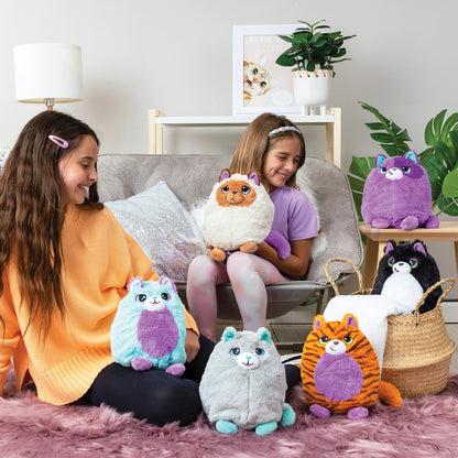 MISFITTENS ASSORTMENT – CATS - US 7679